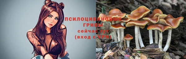 а пвп мука Балахна