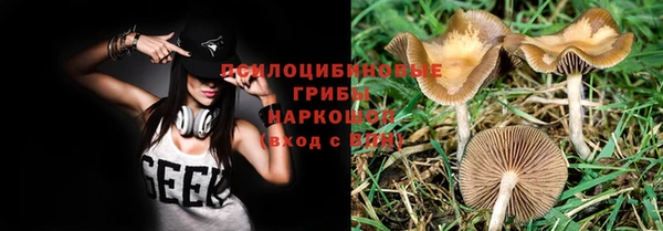 бошки Баксан