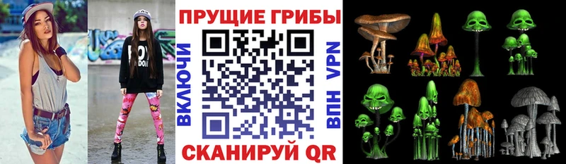 Галлюциногенные грибы прущие грибы  гидра рабочий сайт  Долгопрудный  хочу  