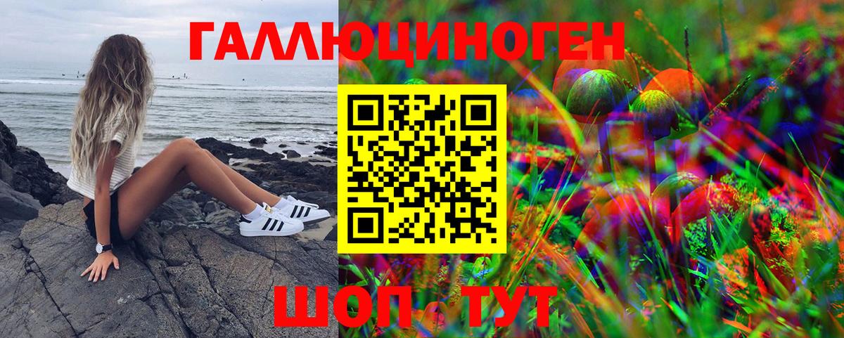 Галлюциногенные грибы Cubensis  Долгопрудный 