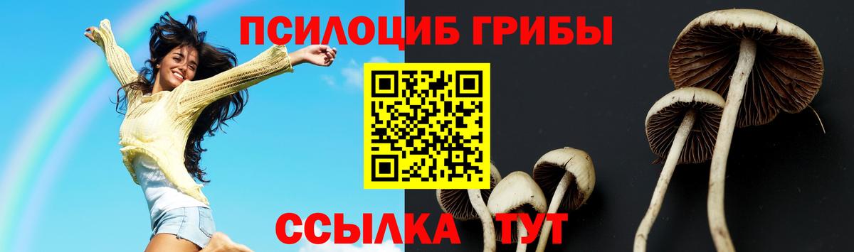 Галлюциногенные грибы GOLDEN TEACHER  Псилоцибиновые грибы Psilocybine cubensis  Долгопрудный  Вход с VPN 
