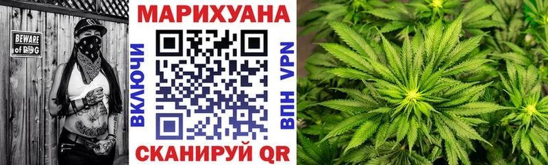 хочу наркоту  Долгопрудный  Бошки марихуана сатива 